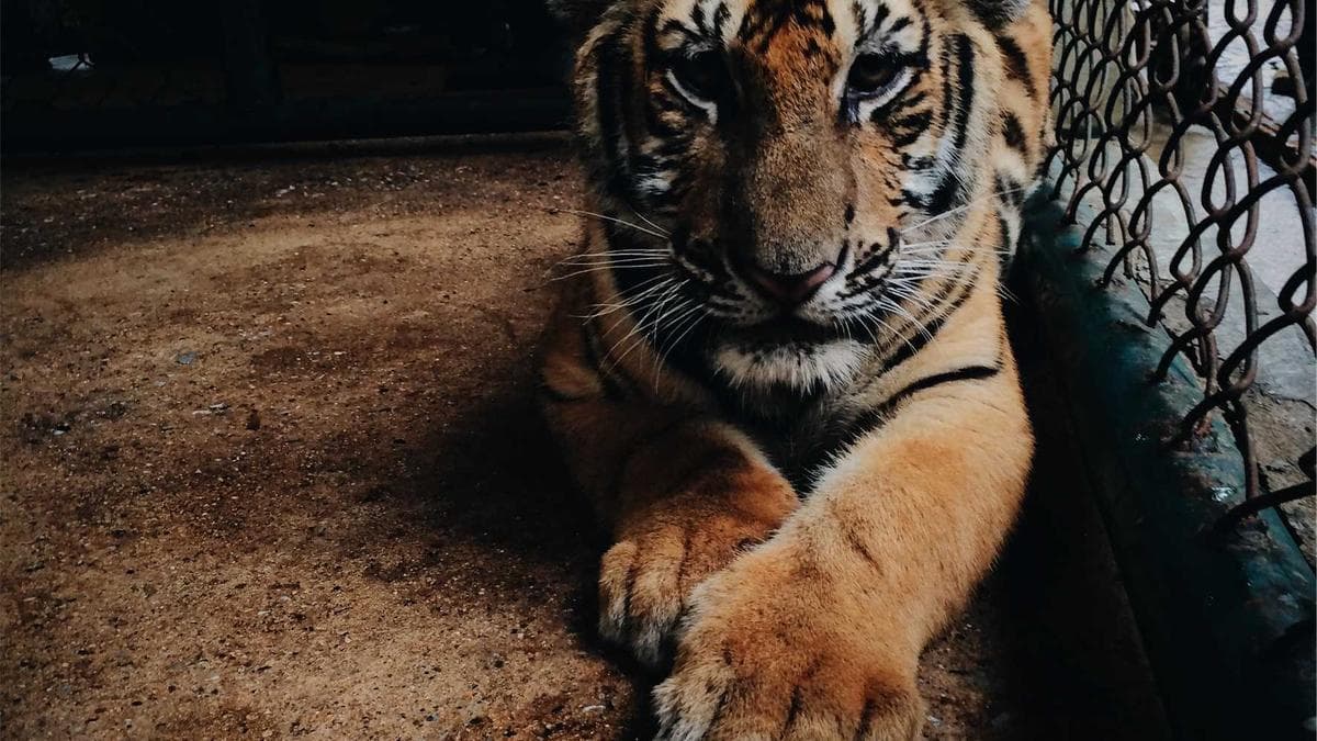 Fractional CFO Model Gains Traction as Finance Leaders Seek Flexibility, Industry Veteran Says