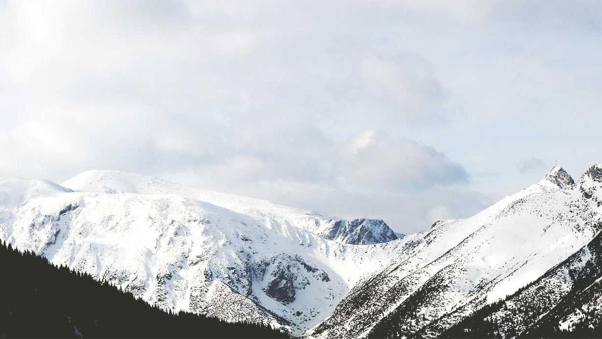 Palantir Sues Swiss Magazine Over Report on Government Contract Rejection