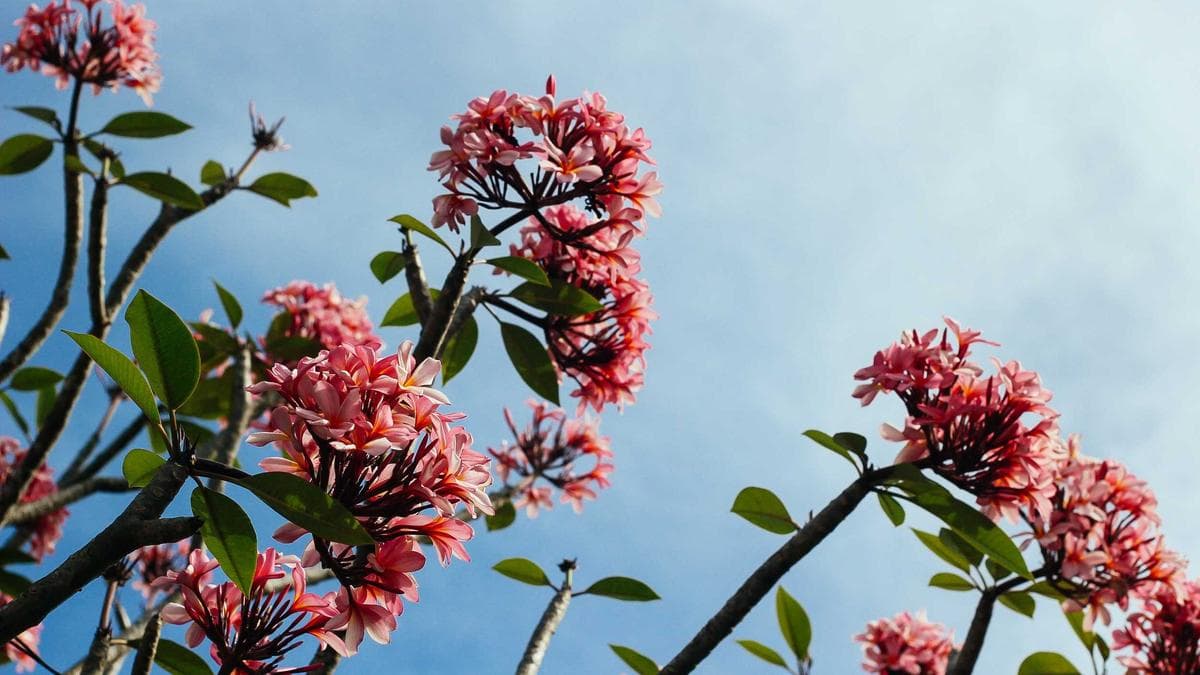 Finance Chiefs Struggle to Extract Value From Tech Investments as Implementation Gaps Widen