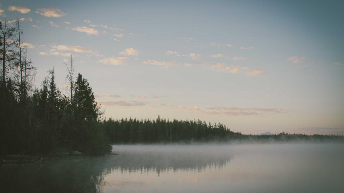 Coinbase CEO Abandons Crypto Market Structure Push as Capital One Eyes Brex Acquisition