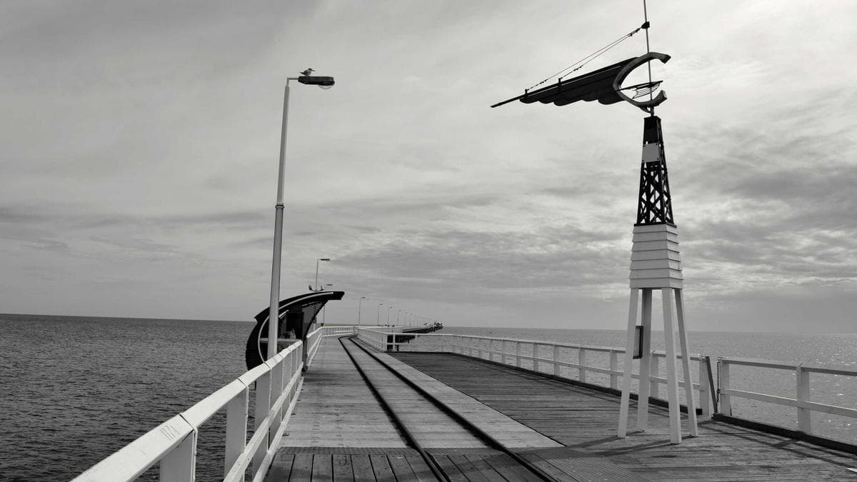 Wealth Managers Push Back on AI Obsolescence Claims as Industry Braces for Tech Disruption