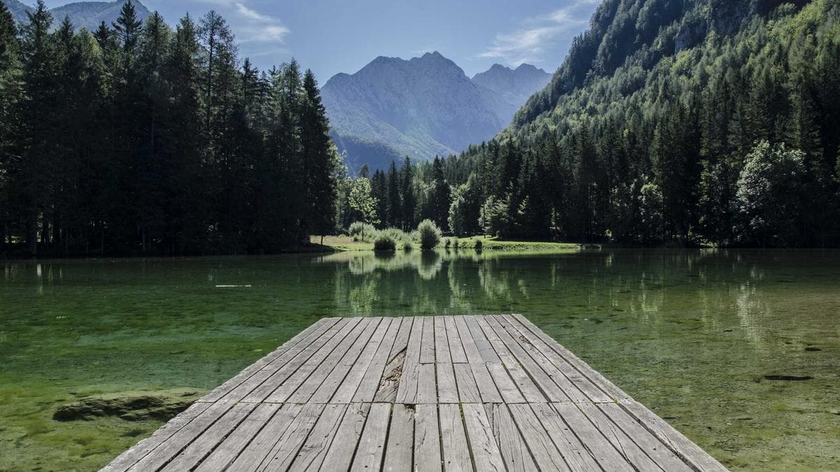 Elite MBA Programs Deliver $245,000+ Salaries Three Years Post-Graduation as Debate Over Degree Value Intensifies