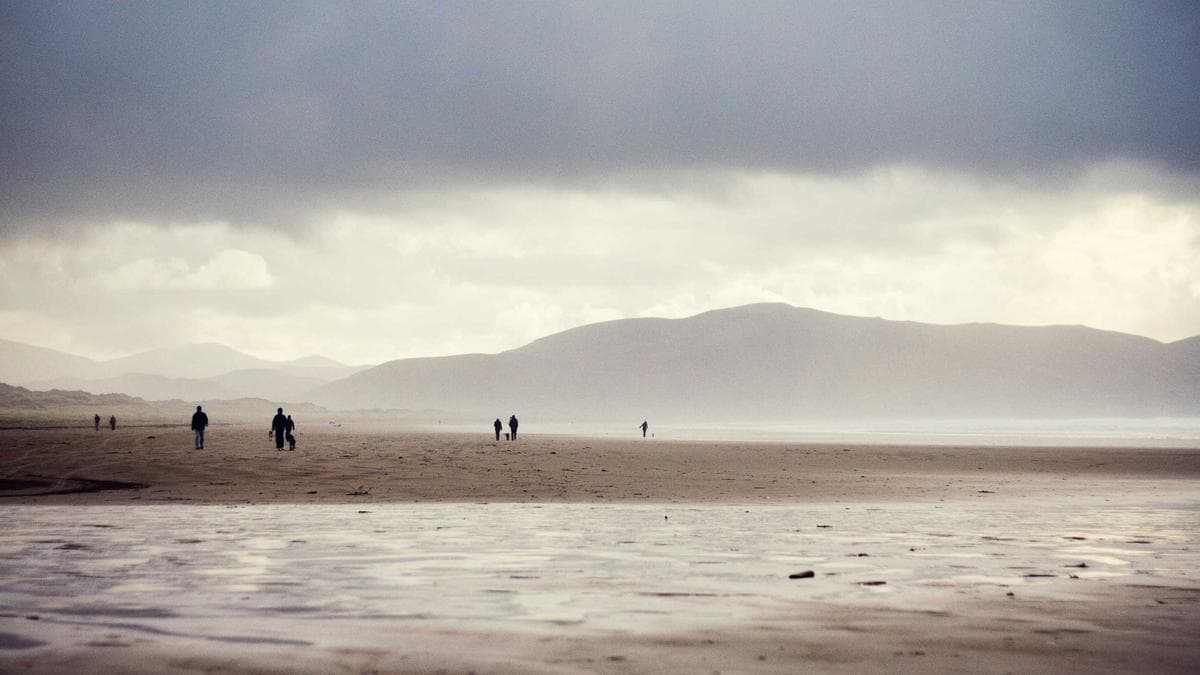 Cato Networks Hits $350M Revenue Run Rate as Security Startups Race to Prove AI Advantage