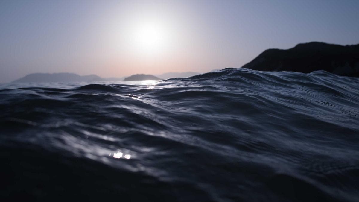 Industrial Collaboration Defies Geopolitical Tensions, Tech Partnerships Persist Despite Trade Barriers