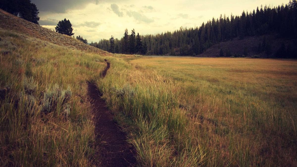 Modern Treasury Launches Payment Provider Service as Stablecoin Volumes Surge