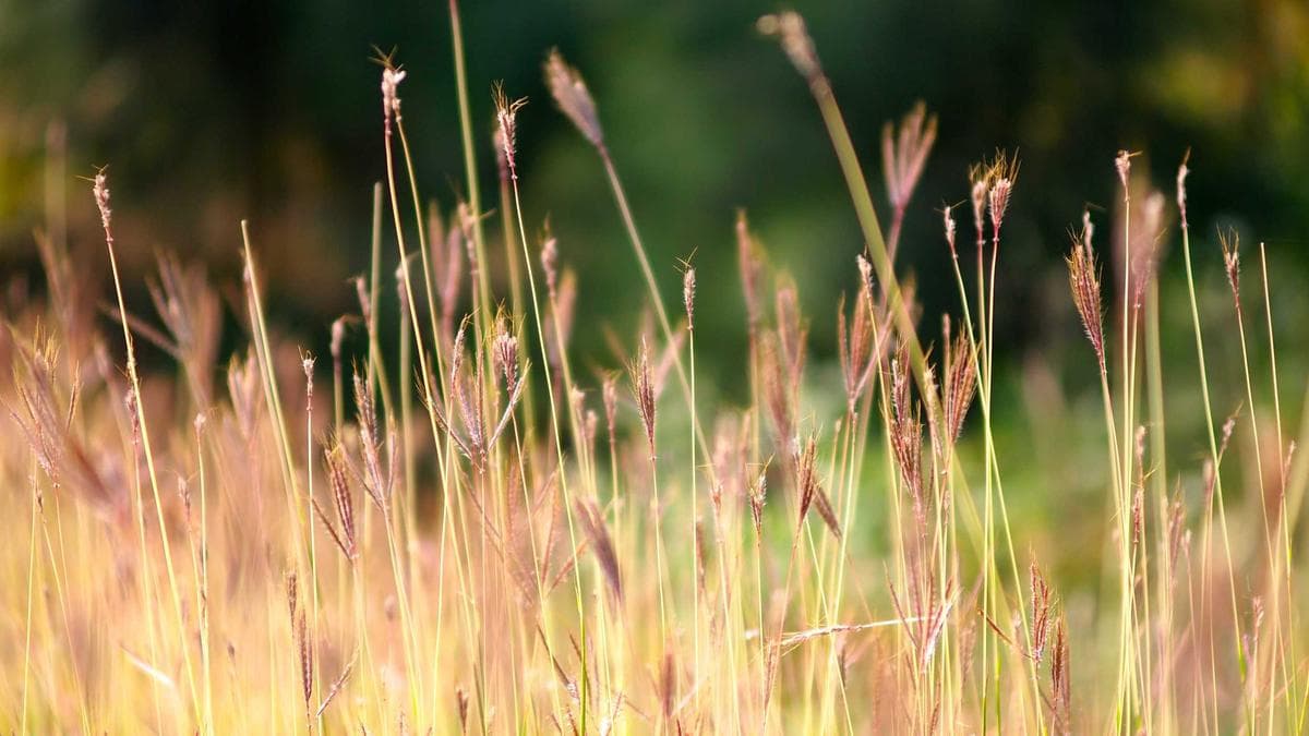 Banking Analysts Dissect Sector Trends as Industry Faces Regulatory and Rate Uncertainty