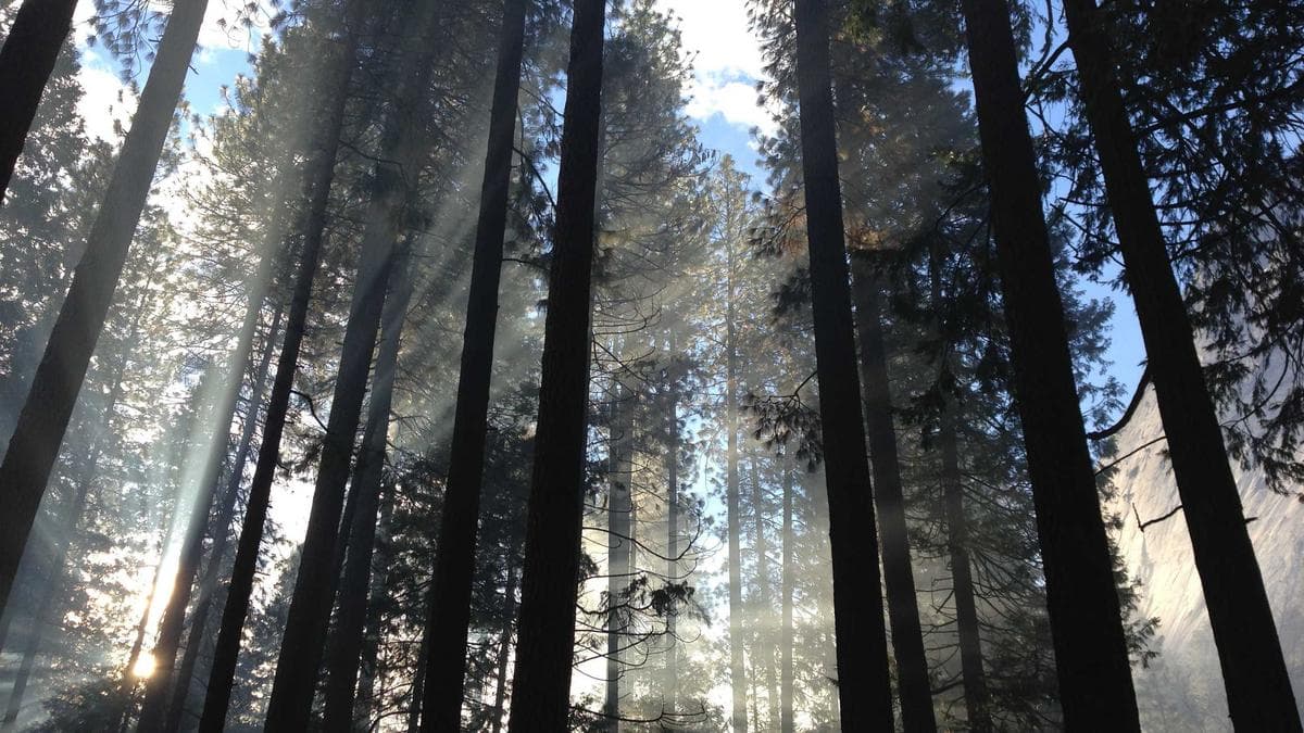 Bank Analysts Dissect Sector Trends as Regional Lenders Face Margin Pressure