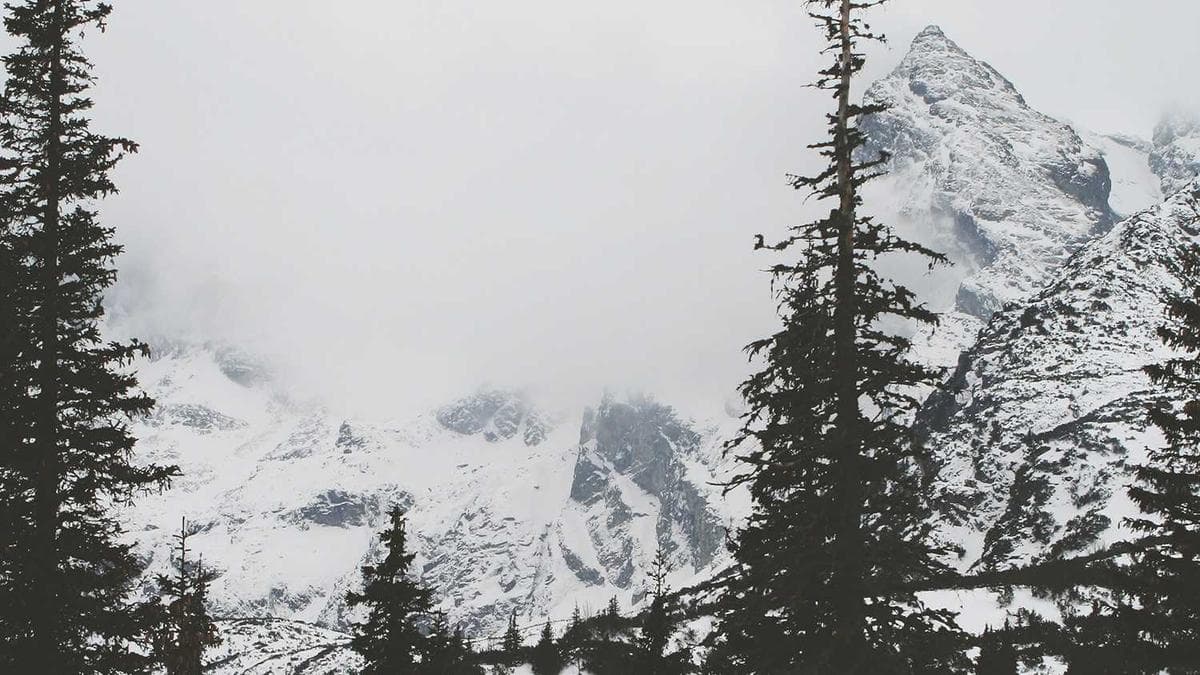 Finance Chiefs Discover AI Vendors Oversold Automation Capabilities, Driving Hidden Implementation Costs