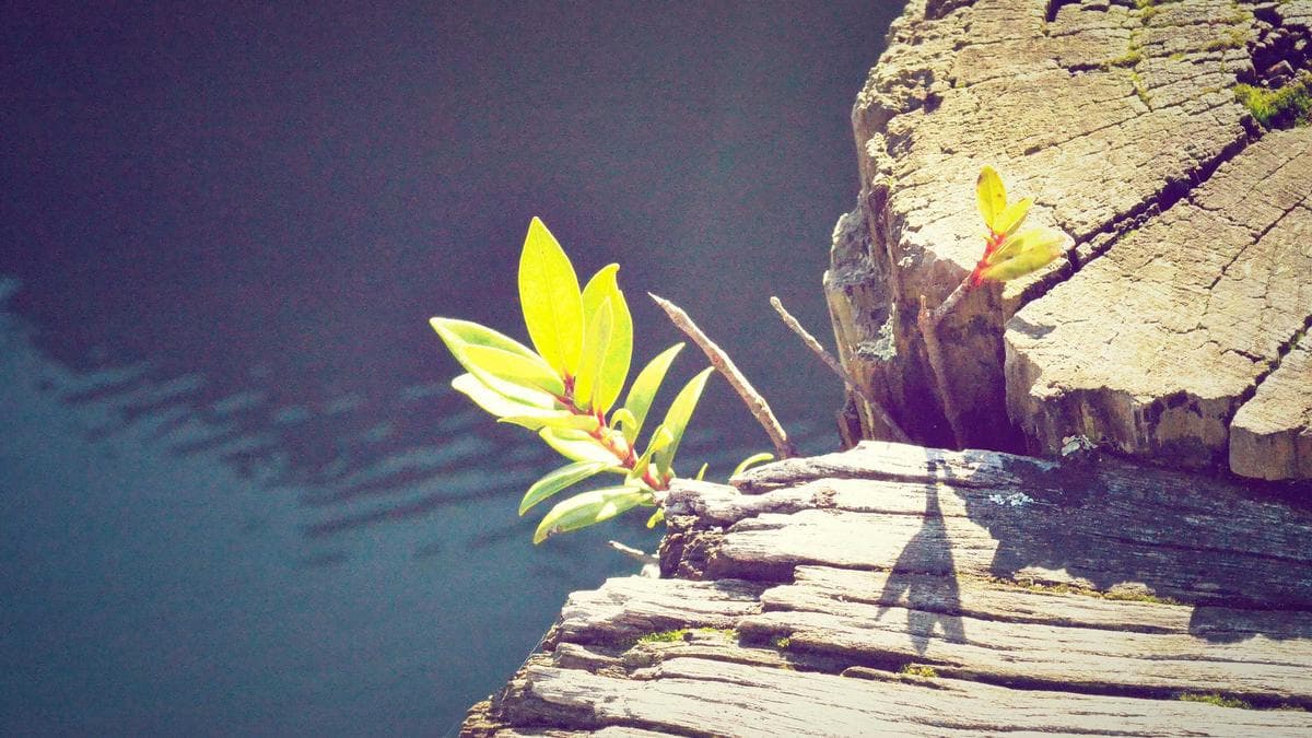 Olympic Ad Spending Collides With Super Bowl as Finance Chiefs Navigate Dual Mega-Events