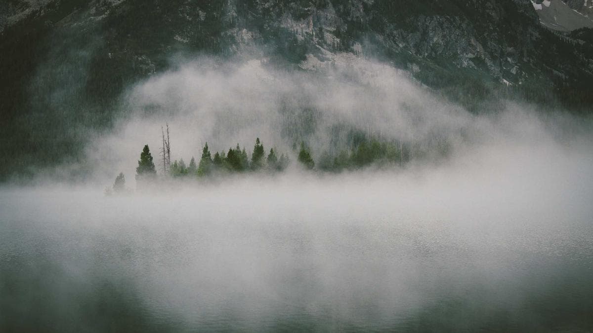 Wharton Cryptocurrency Report Locked Behind Paywall as Institutional Interest in Digital Assets Grows