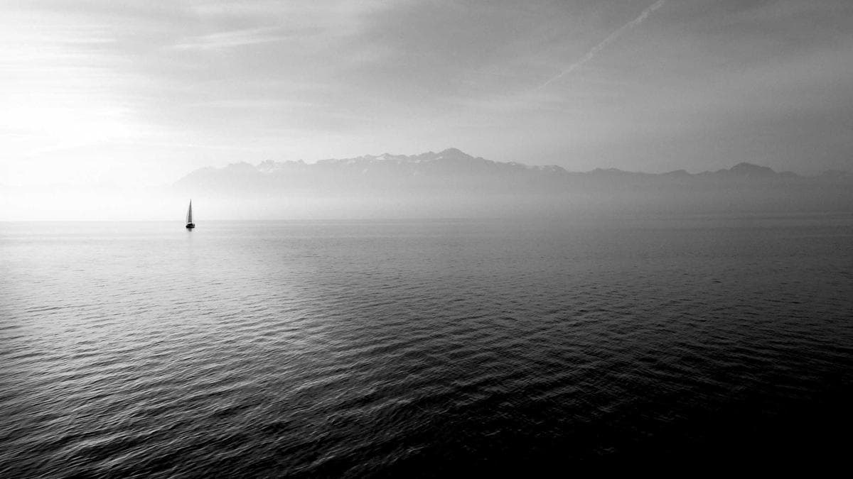 WEBTOON CFO David Lee Builds Creator Economy at Scale While Eyeing Profitability