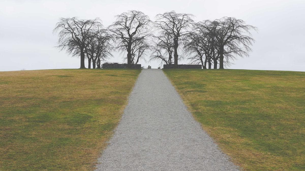 Fintech Podcast Tackles Wealth Management M&A as Robo-Advisor Era Faces Consolidation Test