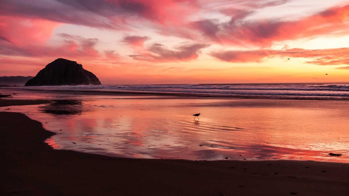 CFPB Signals Policy Shift as Apple Pursues Financial Services Expansion