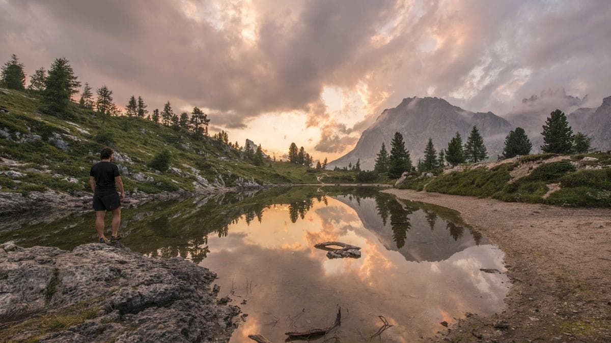 Corporate Divestitures Gain Momentum as CFOs Rethink Portfolio Strategy