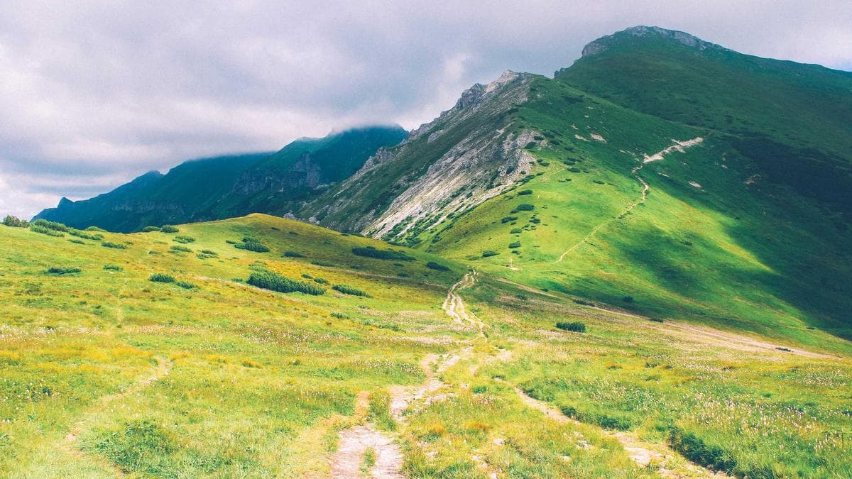 Nvidia Earnings Set to Test European Tech Rally as AI Spending Doubts Mount