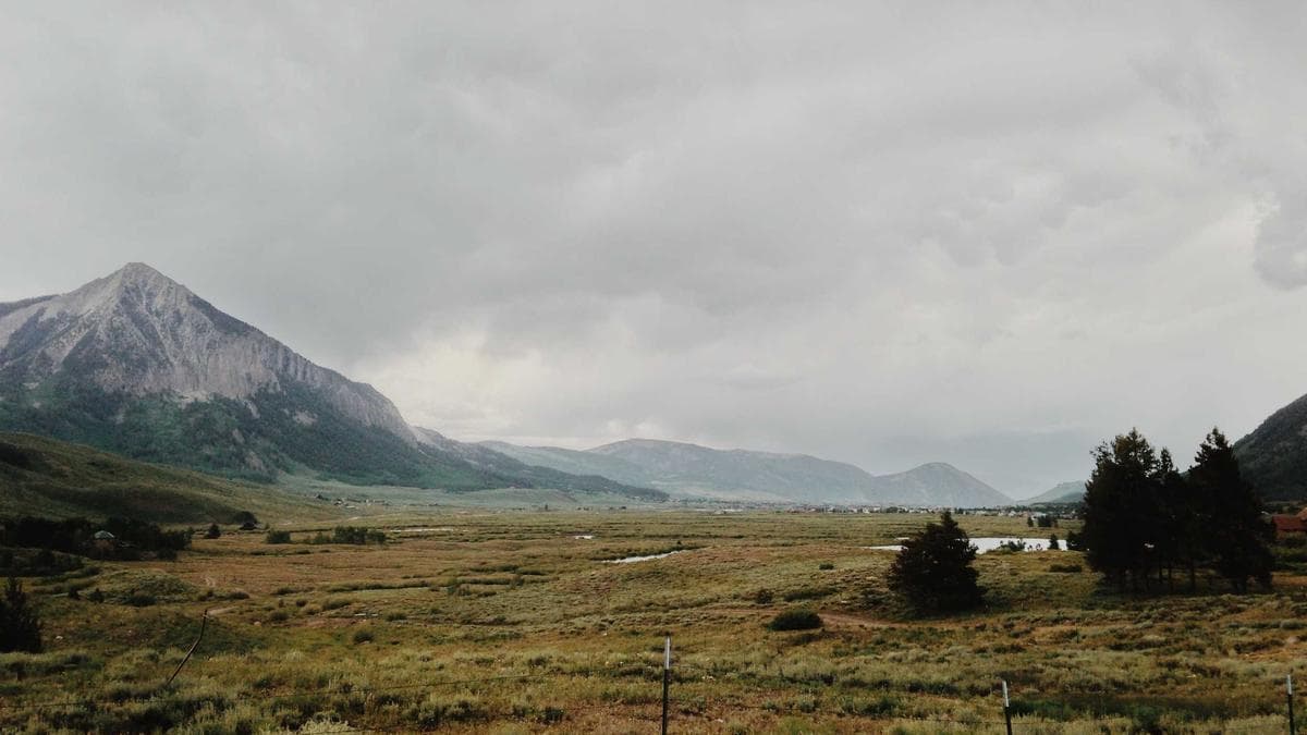 Mastercard-Backed TomoCredit Violates Trademark Settlement, Reviving “Dumbest” Fintech Dispute