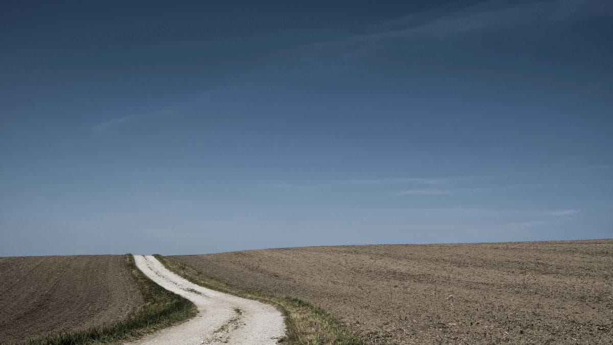 Palo Alto Networks Drops 8% as CEO Pushes Back on AI Threat to Cybersecurity