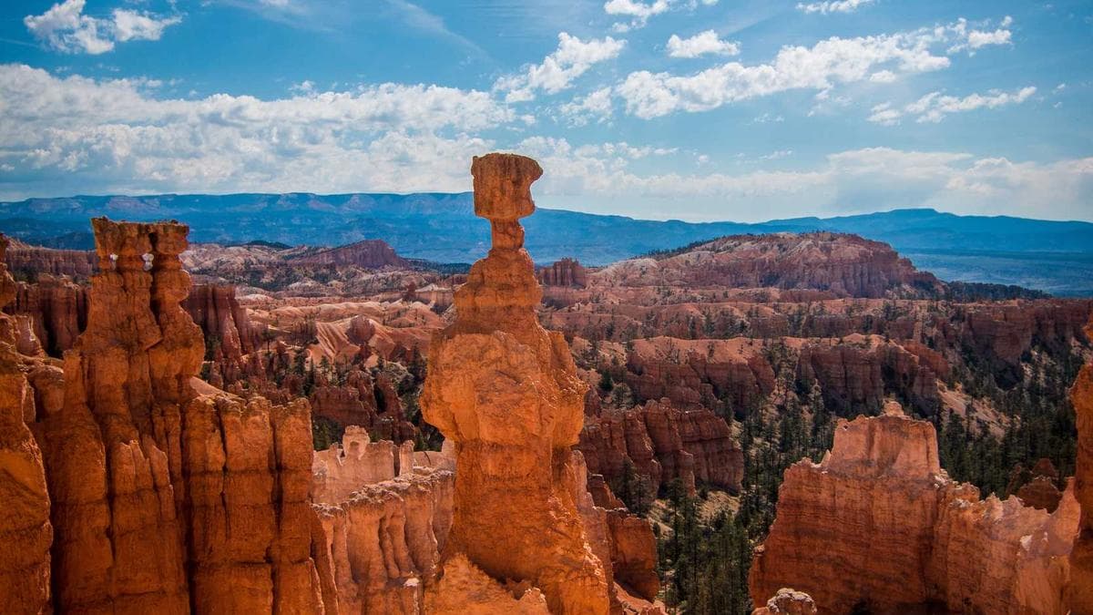 KPMG partner fined over using AI to pass AI test