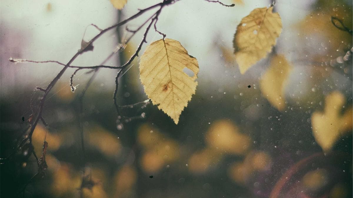 Wharton Budget Model Examines Billionaire Tax Proposals as Deficit Solution