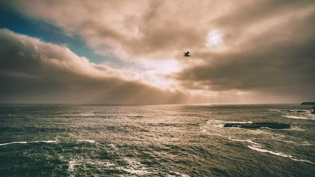 Software Stocks Crater as AI Threatens Industry’s Recurring Revenue Model