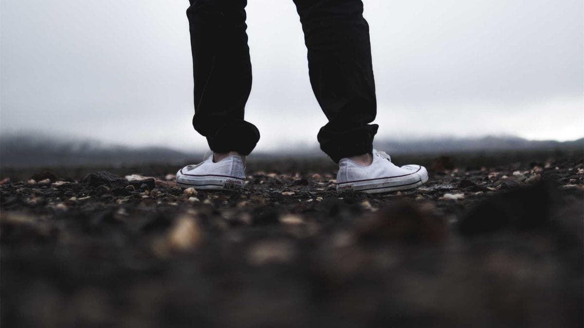 IBM Triples Entry-Level Hiring as AI Reshapes Junior Finance Roles