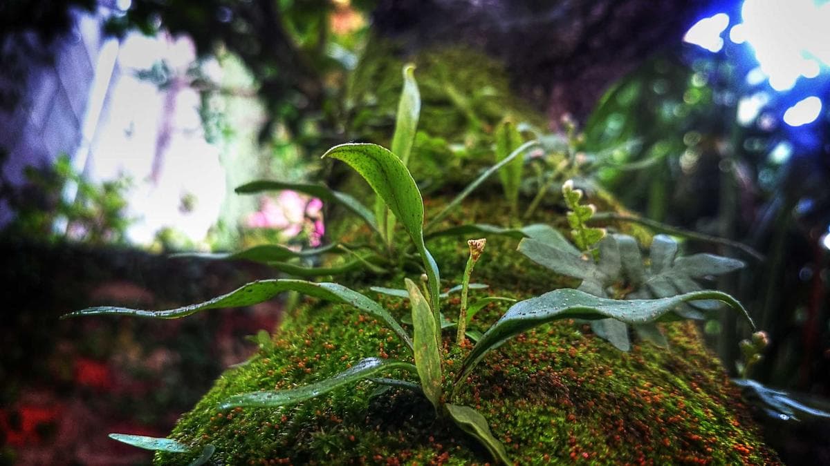 Crypto Payments App Kontigo Exposes Sanctions Gaps in Stablecoin Infrastructure