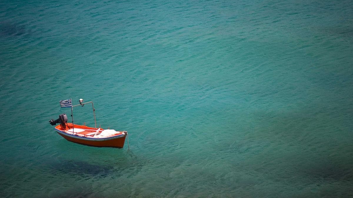 Spotify Earnings, Individualized Networks, AI and Aggregation