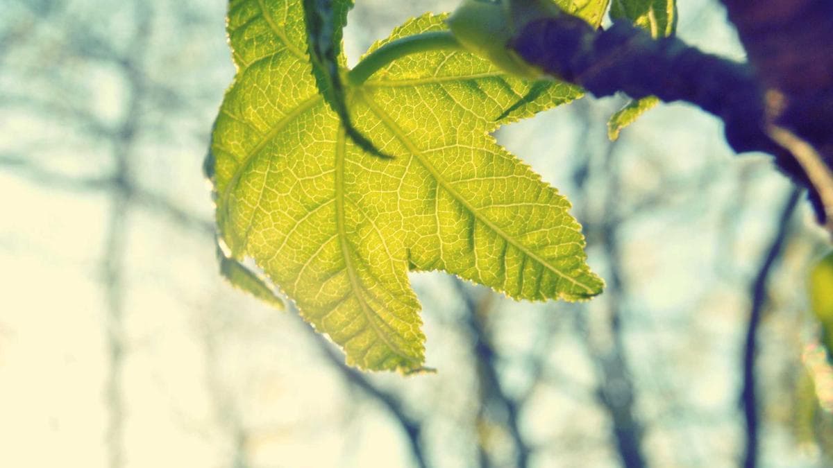 CFO Leadership Council Urges Finance Chiefs to Embrace Decisiveness Amid Economic Uncertainty