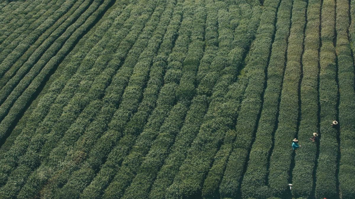 Finance Chiefs Struggle to Extract Value from Tech Investments as Implementation Gaps Widen