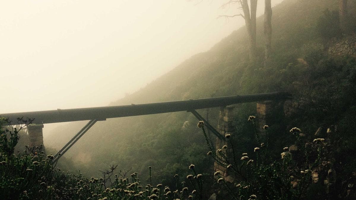 Mastercard-Backed TomoCredit Violates Trademark Settlement, Reviving “Dumbest Lawsuit” in Fintech