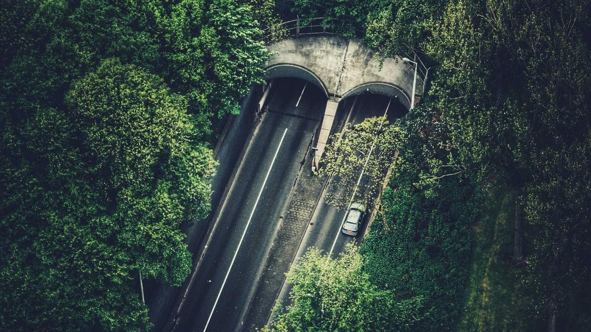 The Complexity Paradox: Why Finance Chiefs Are Redefining Leadership Around Ambiguity