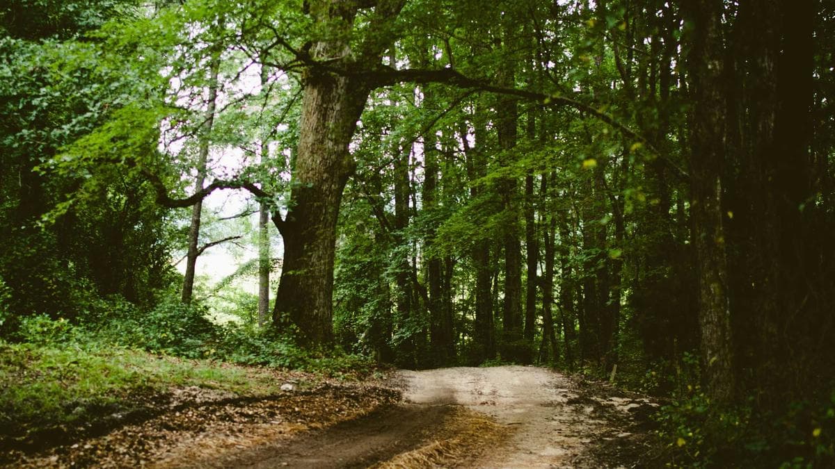 New Bank Erebor Opens Targeting AI and Crypto Firms as UnCash Crypto Card Service Collapses