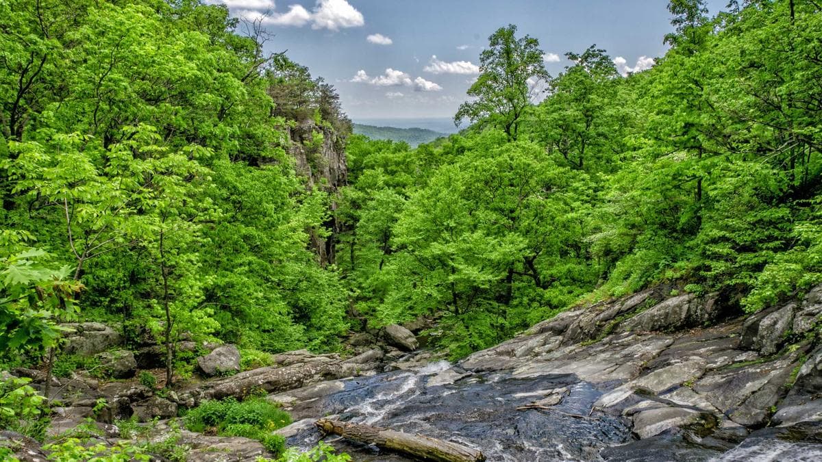 Kontigo: Y Combinator’s Venezuelan Sanctions Evasion Startup