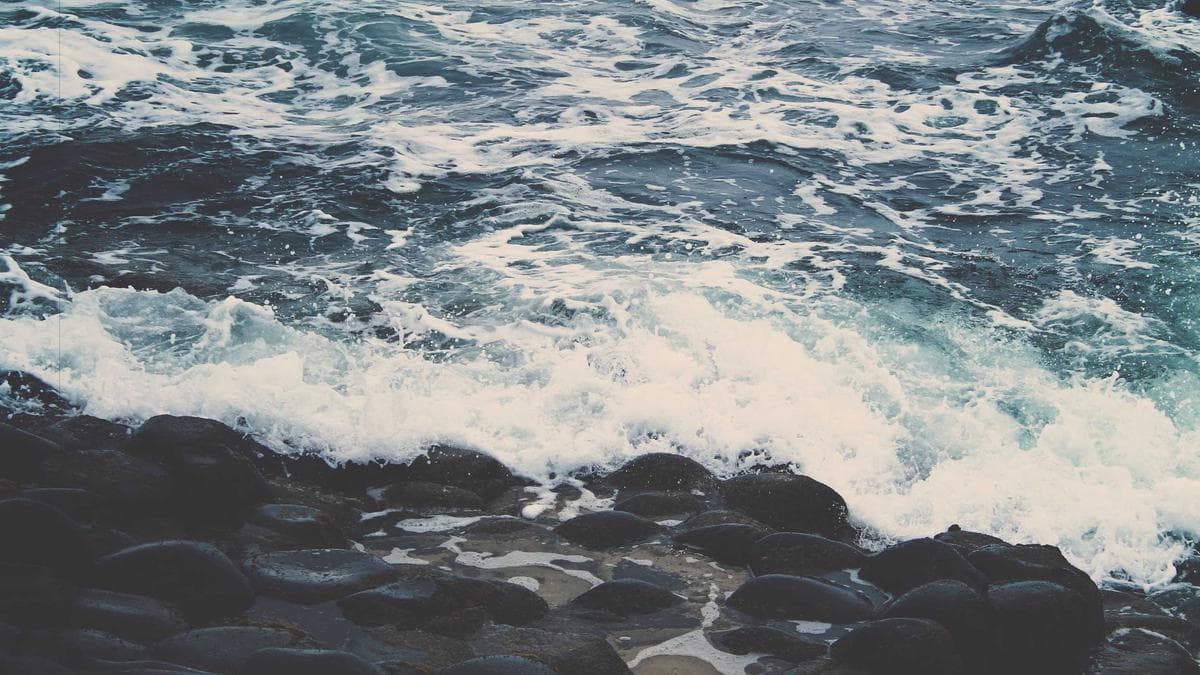 AI Coding Bot Takes Down Amazon Service as Corporate Deployment Risks Mount