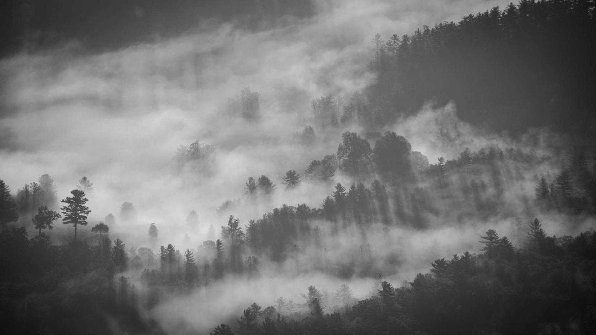 Canva Snaps Up Motion Graphics Startups as Adobe Shares Crater 30% in AI Selloff