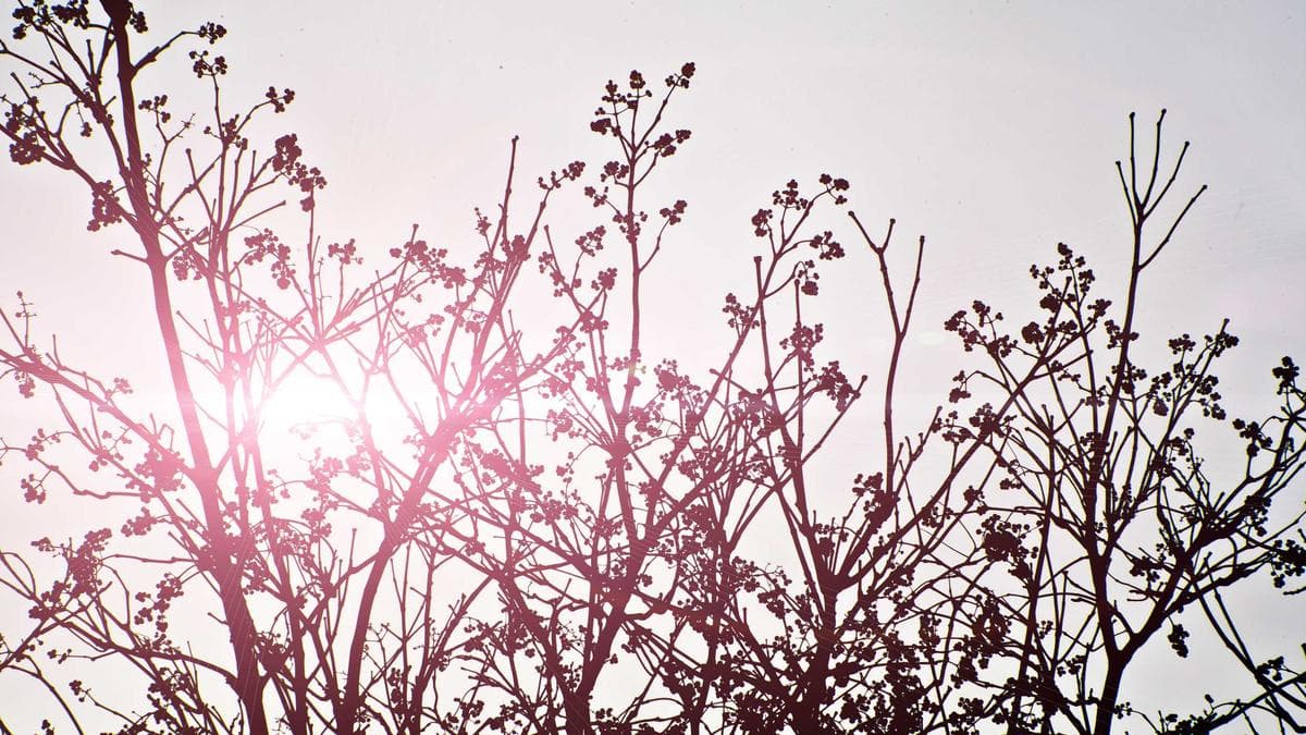 Tennis Strategist’s Data Methods Draw Interest From Corporate Decision-Makers