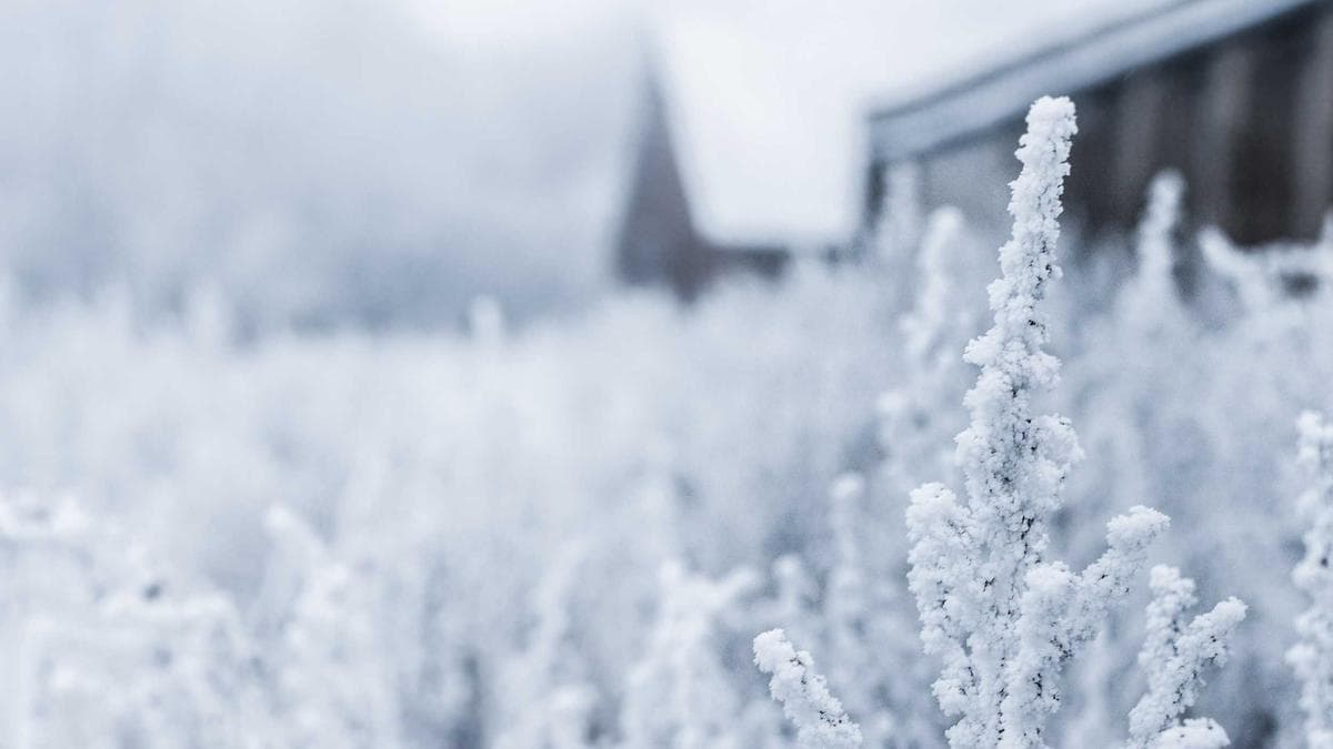 AI Investor Warns of Labor Market Upheaval as Advanced Models Reshape Corporate Finance