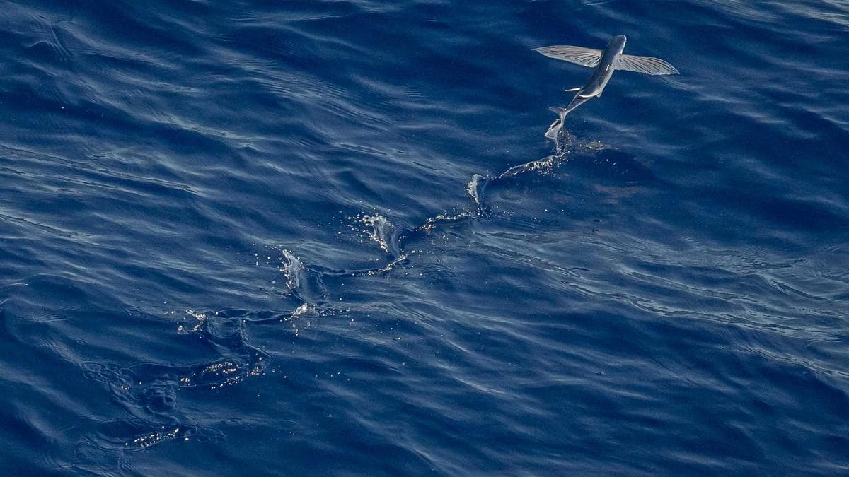 KPMG Partner Fined $7,000 for Using AI to Cheat on Firm’s AI Training Exam