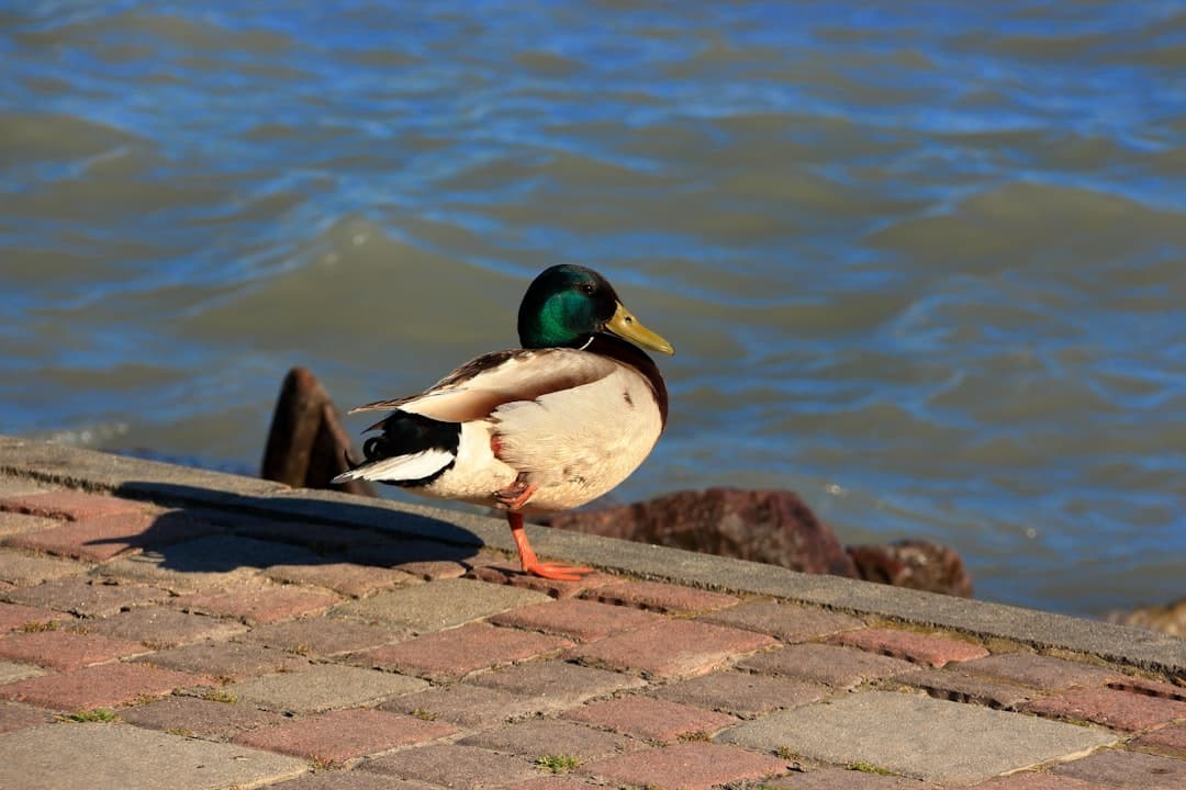 Stake.com Influencer Wins Show Statistical Anomalies, Bloomberg Analysis Finds