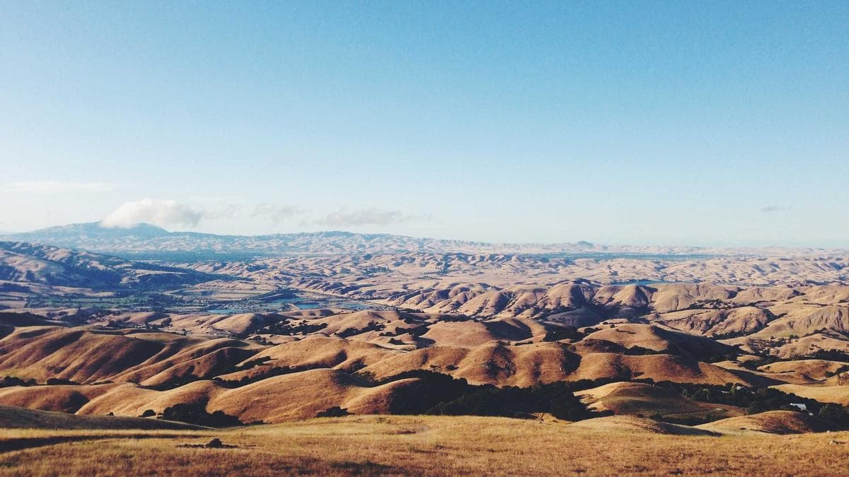 AI Backlash Gains Steam as Finance Leaders Question Software Spend