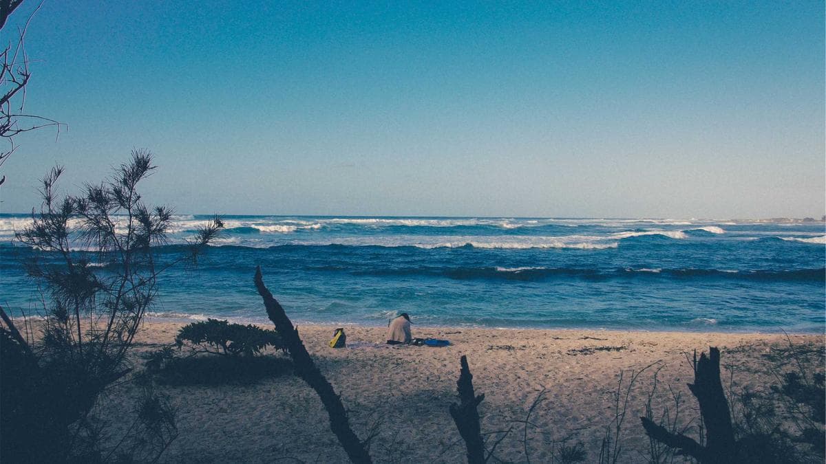 Mastercard-Backed Credit Startup Violates Trademark Settlement, Reviving Fintech’s “Dumbest Lawsuit”