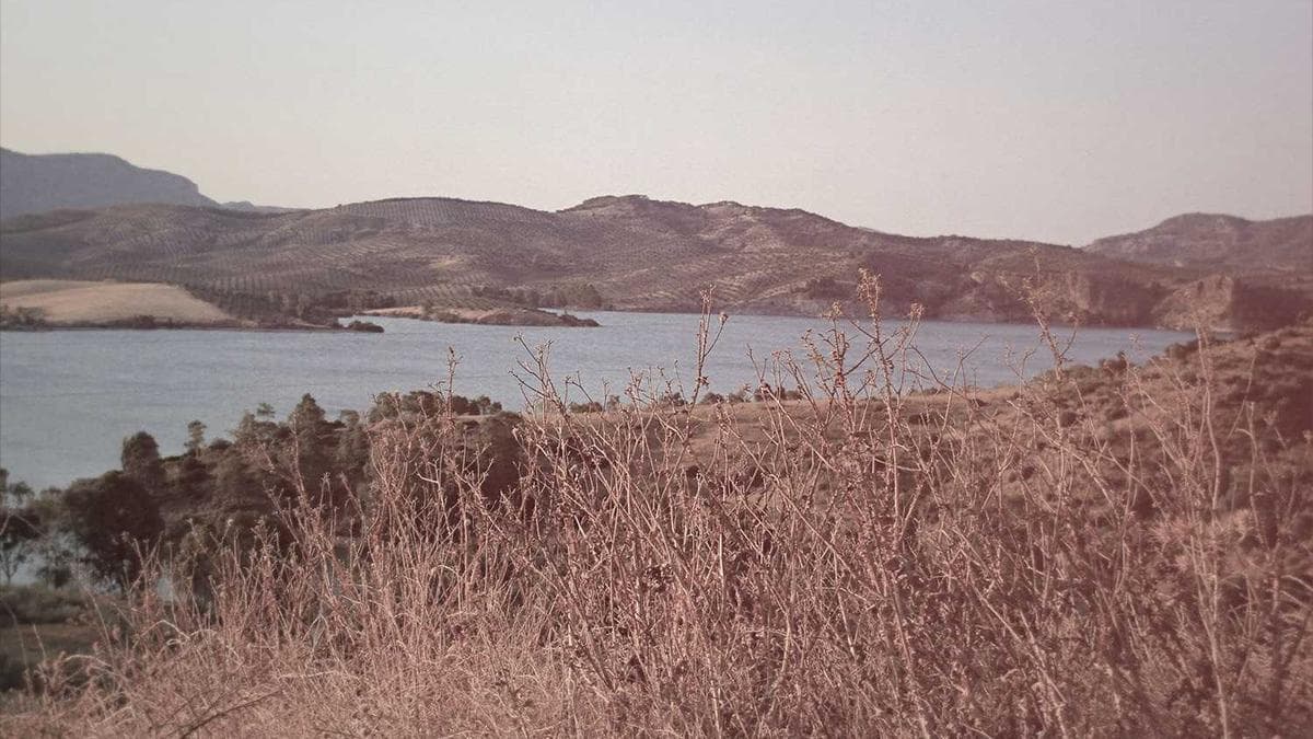 Mid-Sized Banks Turn to Fintech Partnerships as Traditional Revenue Streams Dry Up