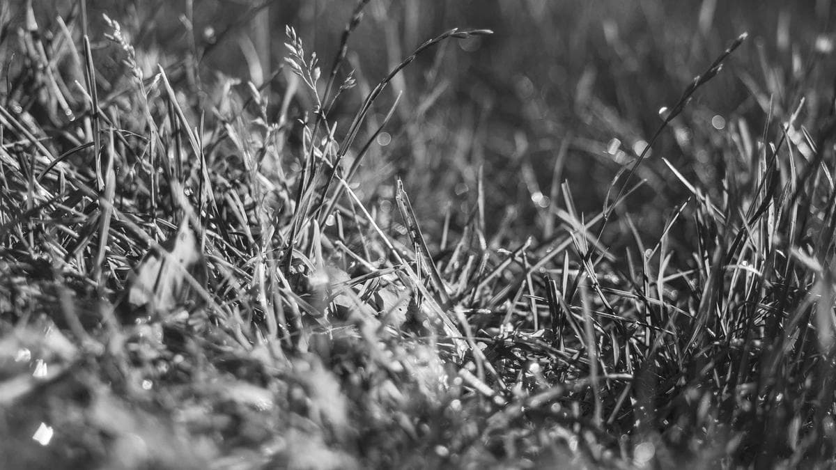 The CEO-CFO Tension Isn’t a Bug—It’s the Entire Strategy