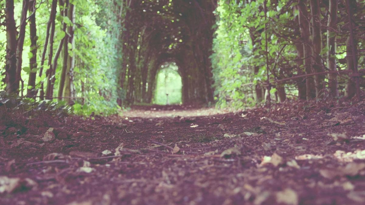 Compliance Chiefs Grapple With AI Agent Hype as Castellum CEO Maps Regulatory Reality